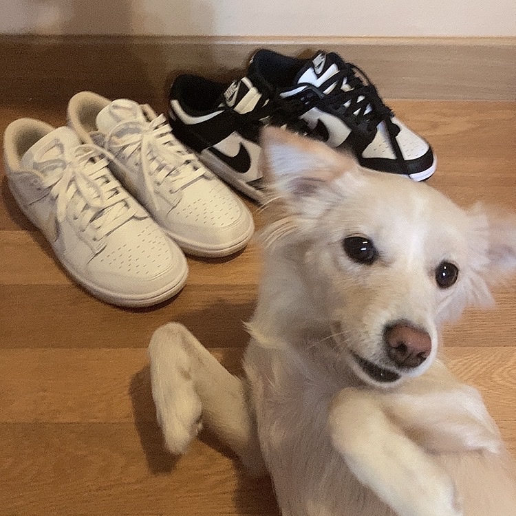 (W) Nike Dunk Low Black, (W) Nike Dunk Low Pearl White 착용 스타일 - 5