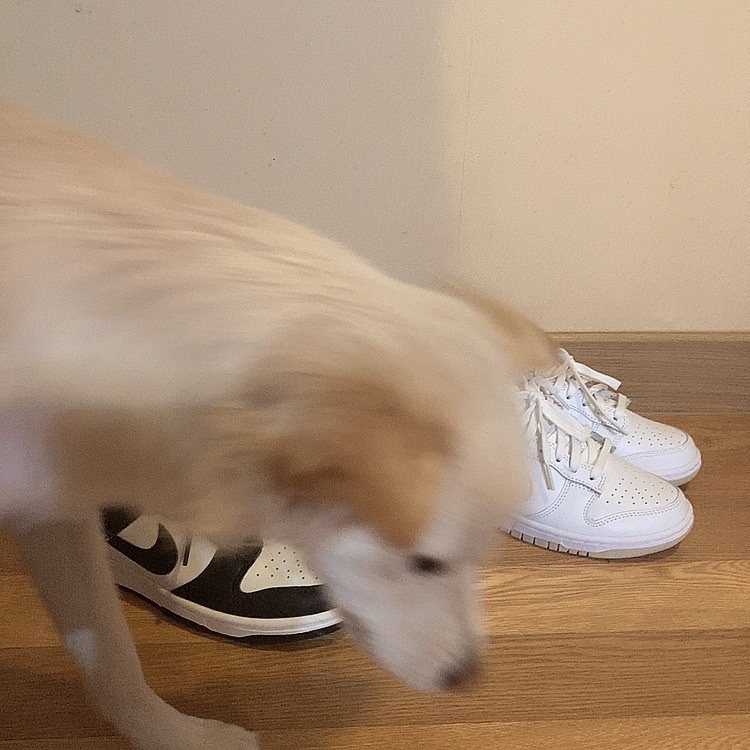 (W) Nike Dunk Low Black, (W) Nike Dunk Low Pearl White 착용 스타일 - 2