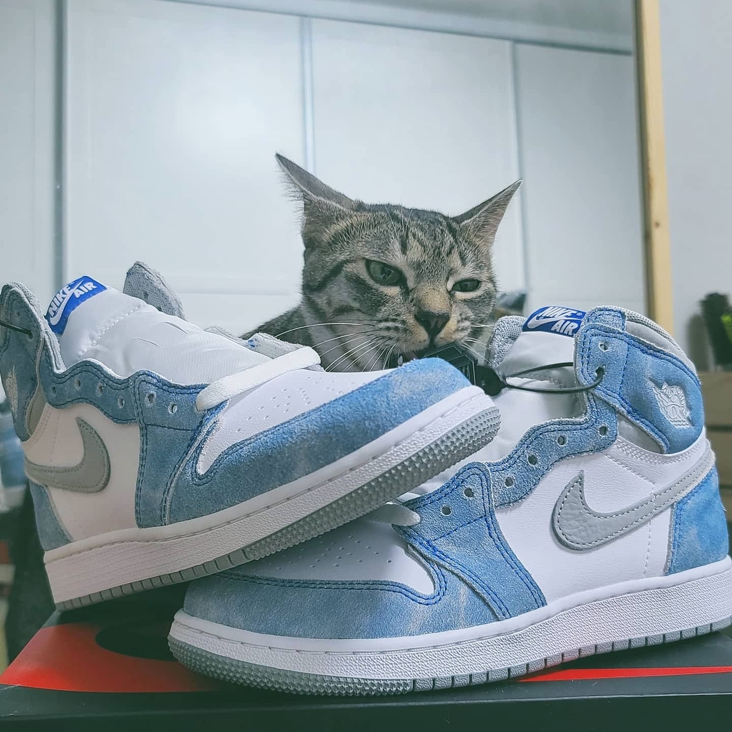 (GS) Jordan 1 Retro High OG Hyper Royal, Jordan 1 Retro High OG Hyper Royal 착용 스타일