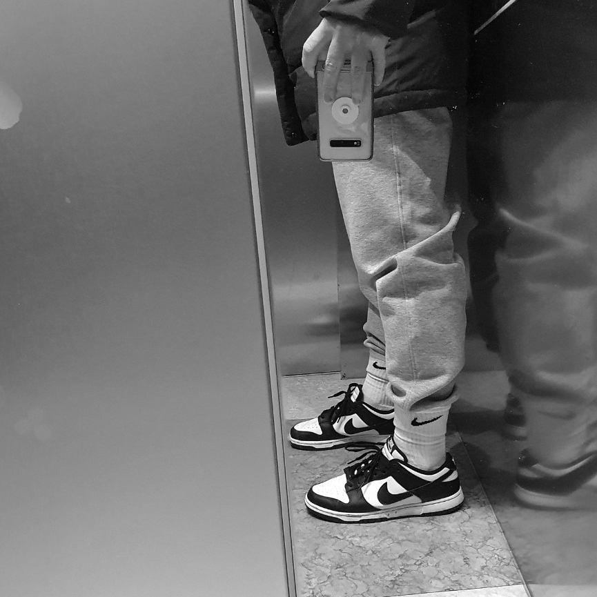 Nike Dunk Low Retro Black, Nike NRG Solo Swoosh Fleece Pants Dark Grey Heather - US/EU 착용 스타일
