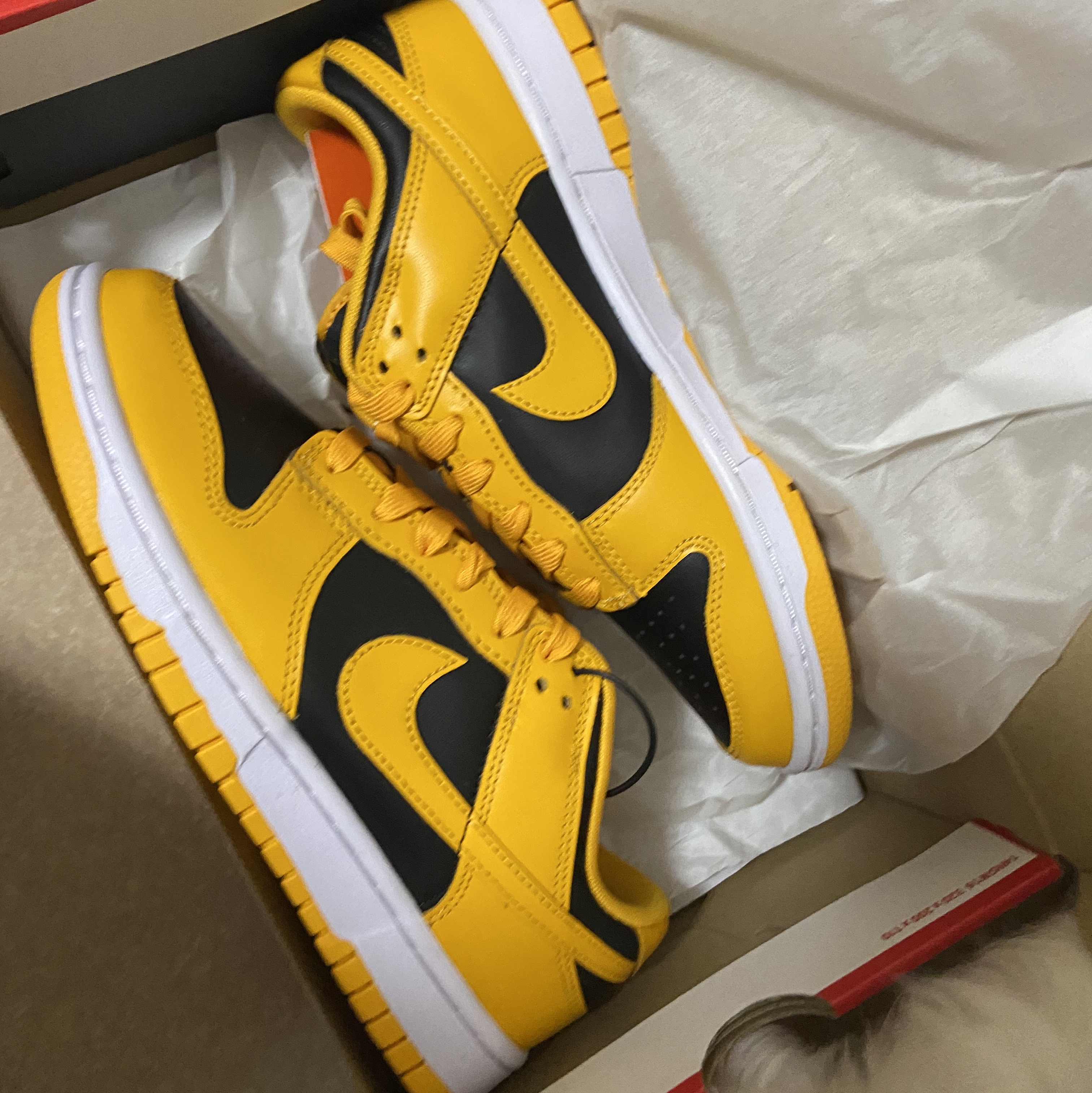 Nike Dunk Low Retro Championship Goldenrod 착용 스타일 - 2