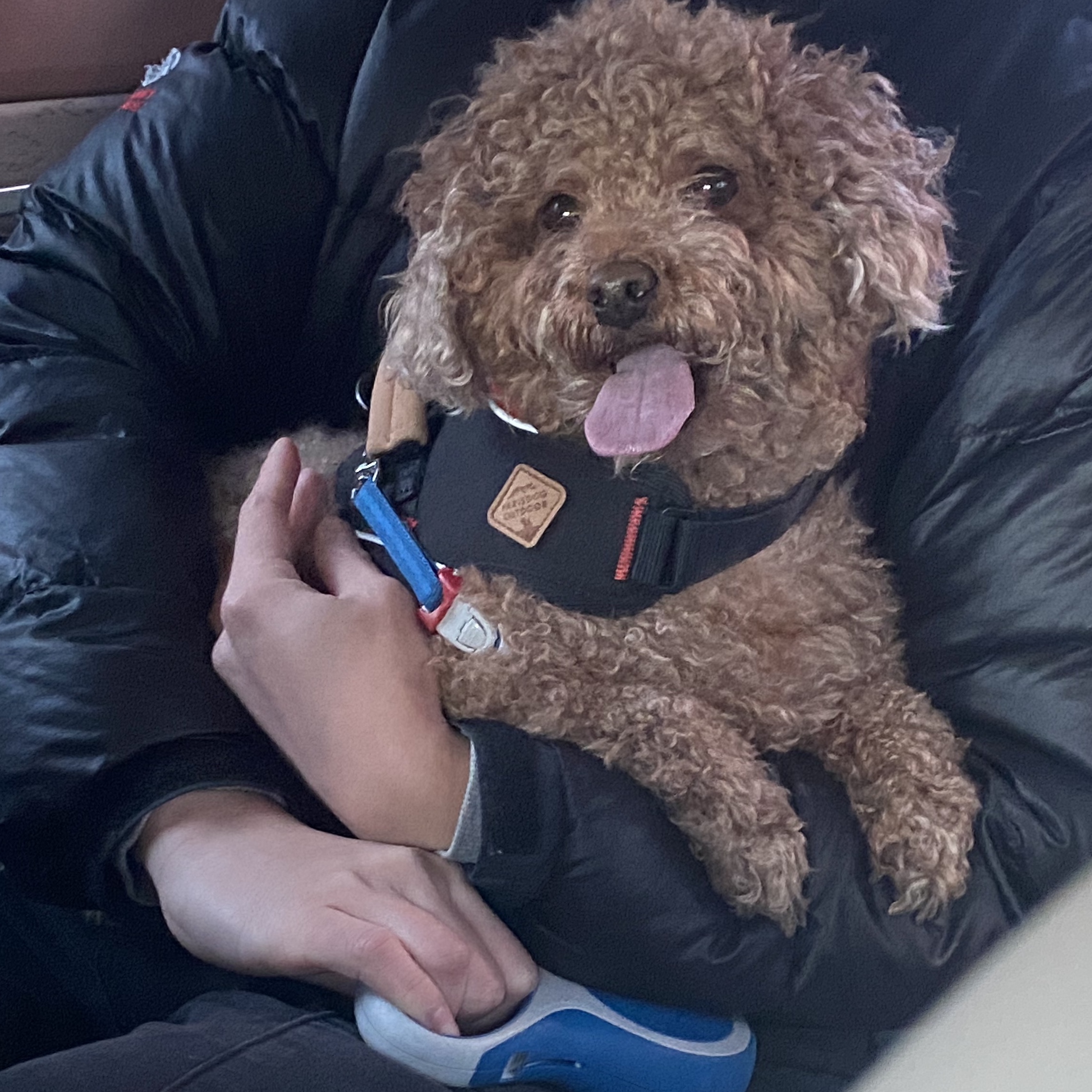 강뽁구님의 스타일