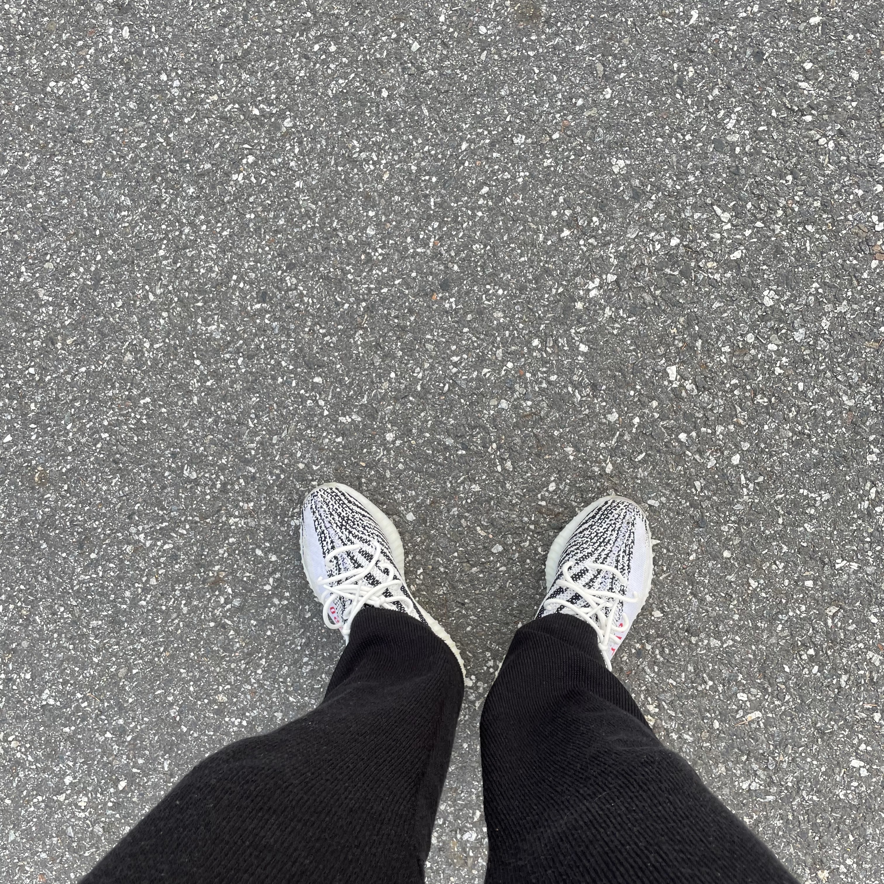 Adidas Yeezy Boost 350 V2 Zebra 2017/2019/2020 착용 스타일