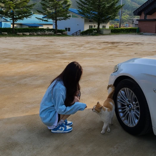스타일 카드