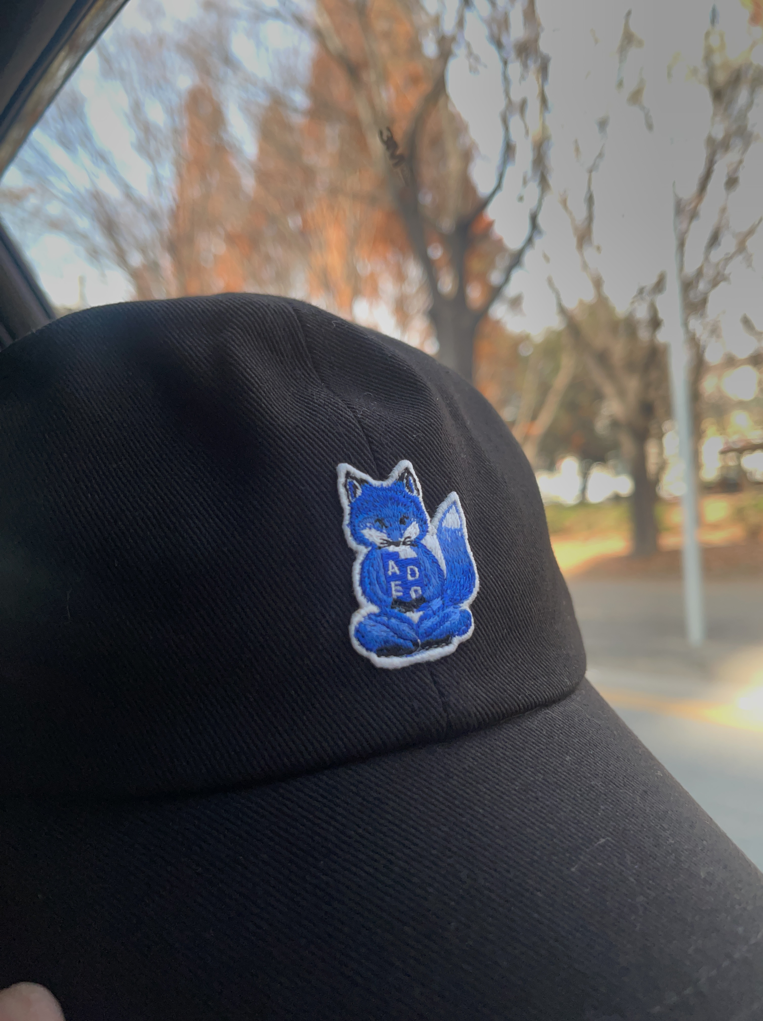 Maison Kitsune x Ader Error Meditation Fox Cap Black 착용 스타일
