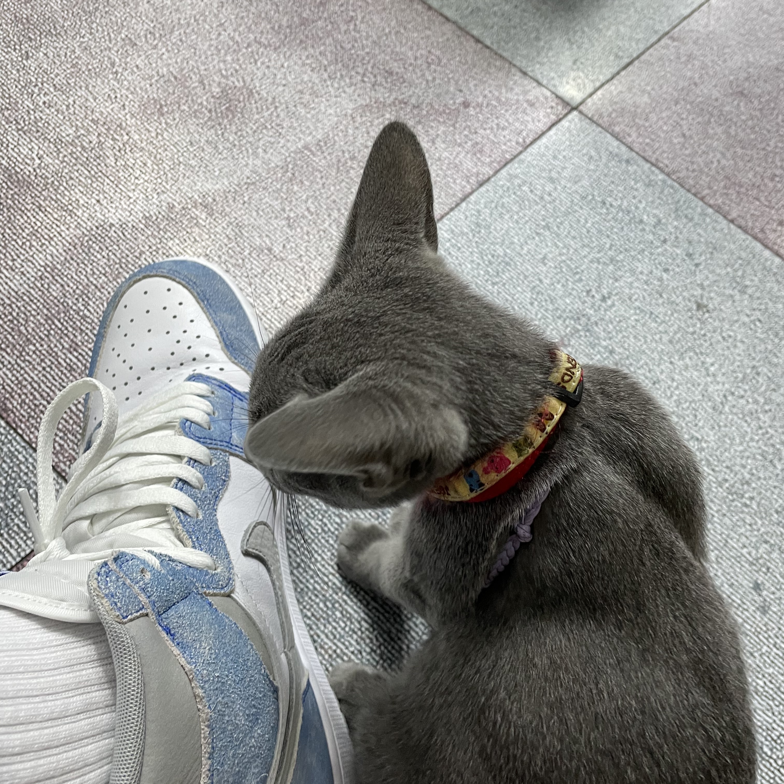 Jordan 1 Retro High OG Hyper Royal 착용 스타일 - 1
