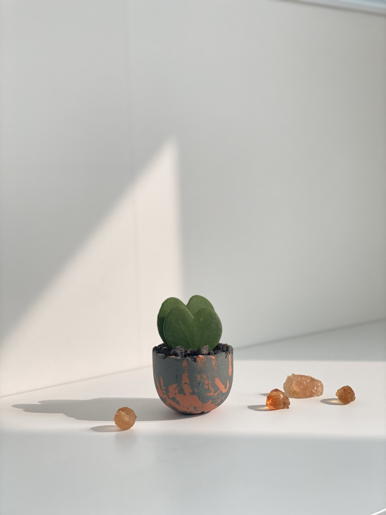 관심 유저 프로필 이미지