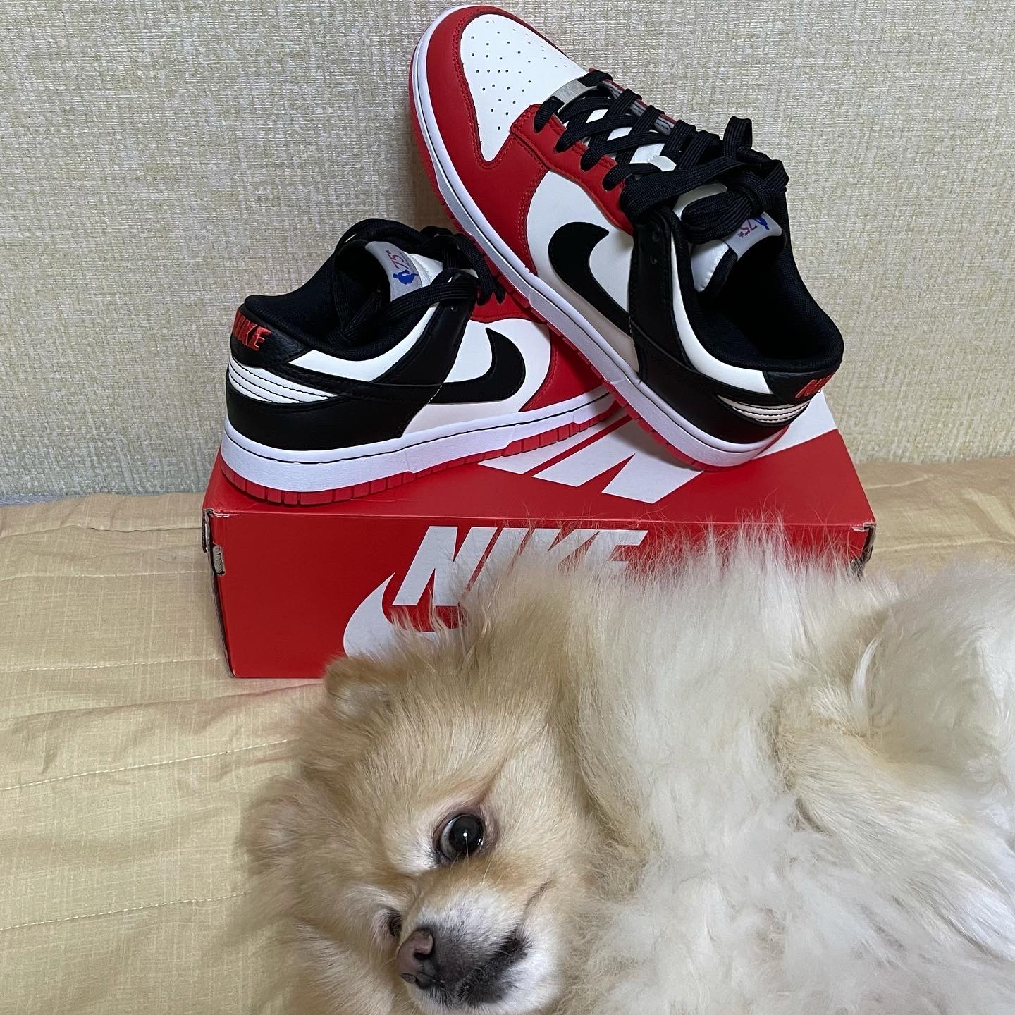 Nike x NBA Dunk Low Retro EMB Black and Chile Red 착용 스타일 - 2