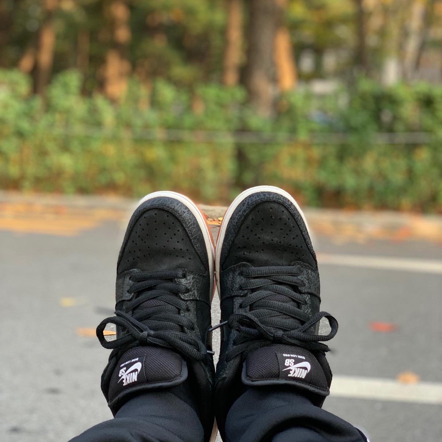Nike SB Dunk Low Premium SB QS Nontourage 착용 스타일 - 2