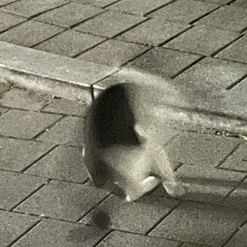 관심 유저 프로필 이미지