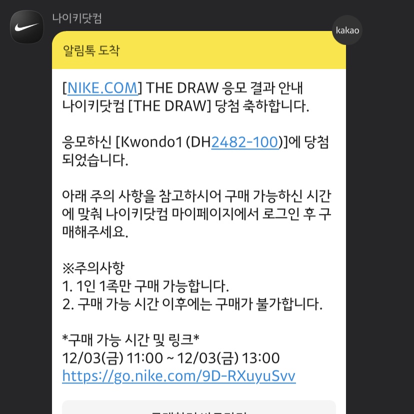 Nike x Peaceminusone Kwondo1 White 착용 스타일