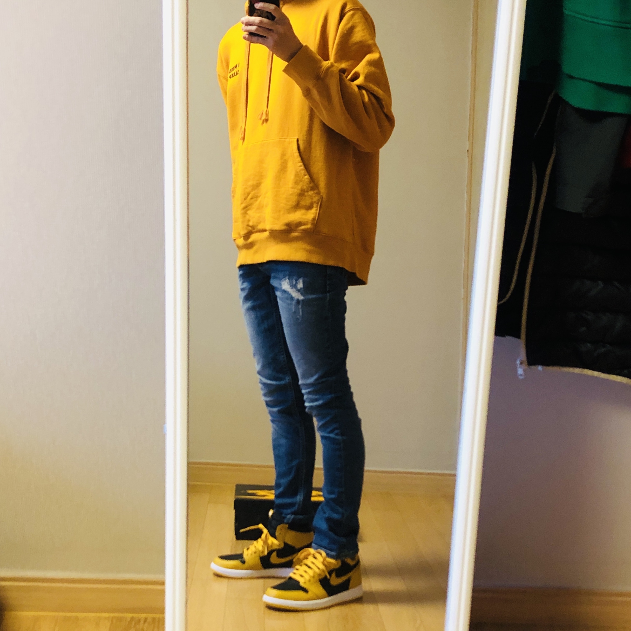 Jordan 1 Retro High OG Pollen 착용 스타일