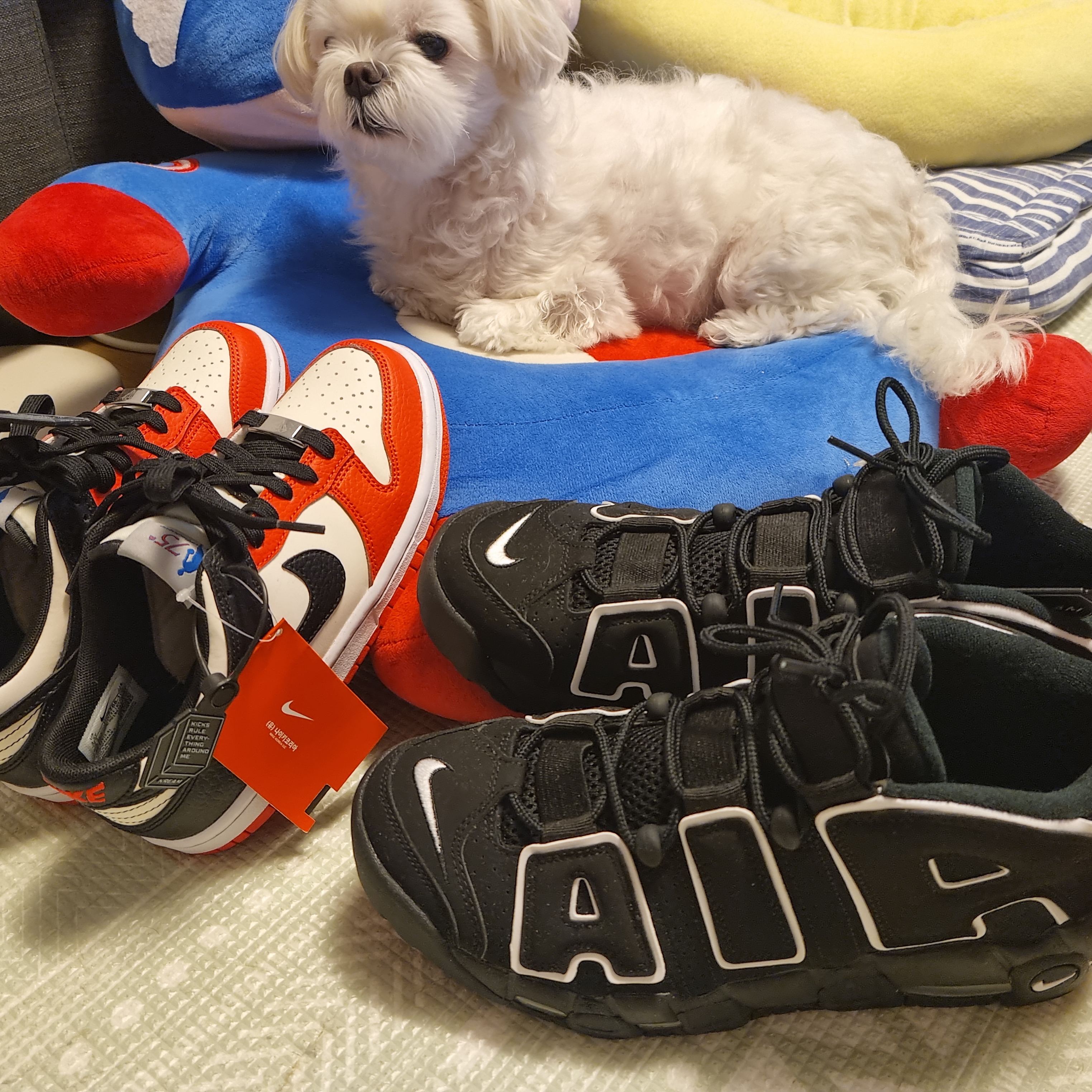(GS) Nike x NBA Dunk Low Black and Chile Red, Nike Air More Uptempo Black White 2020 착용 스타일