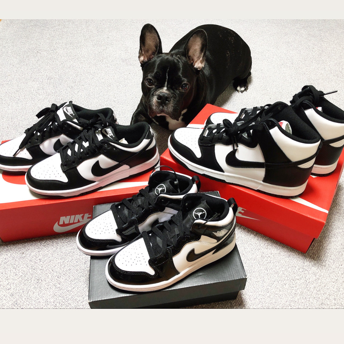 (W) Nike Dunk Low Black, Nike Dunk High Retro Black and White 착용 스타일