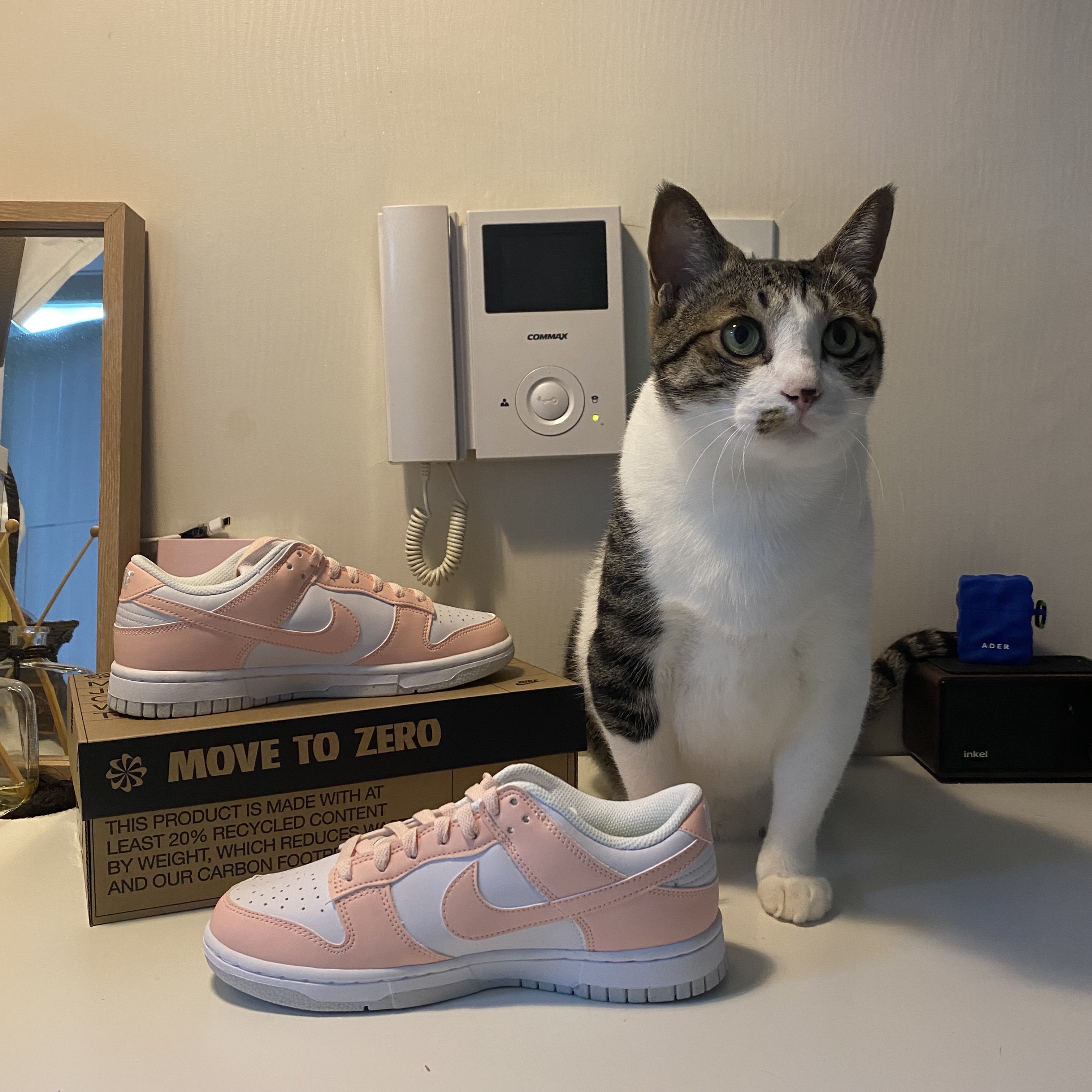 (W) Nike Dunk Low Next Nature Pale Coral 착용 스타일 - 2