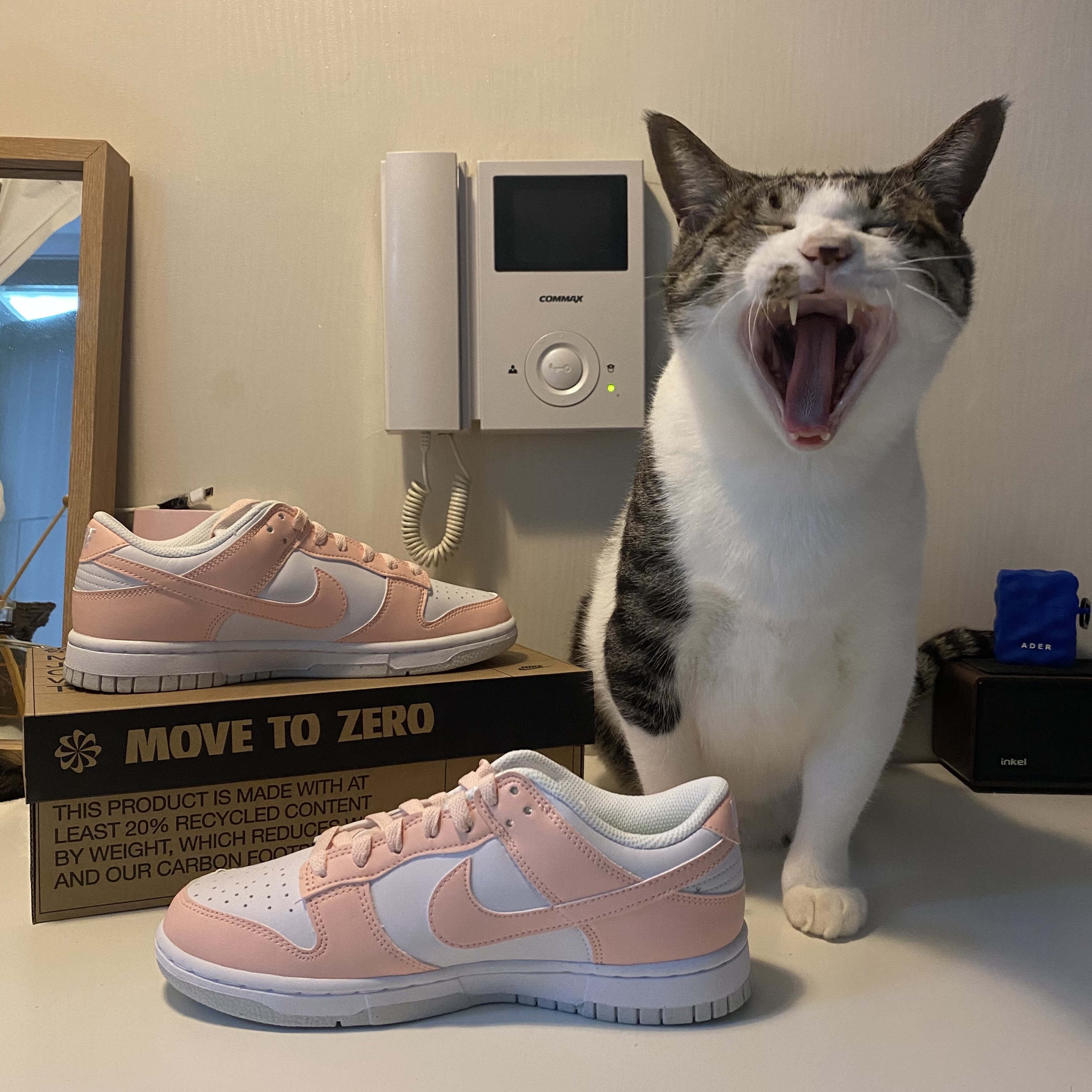 (W) Nike Dunk Low Next Nature Pale Coral 착용 스타일 - 1