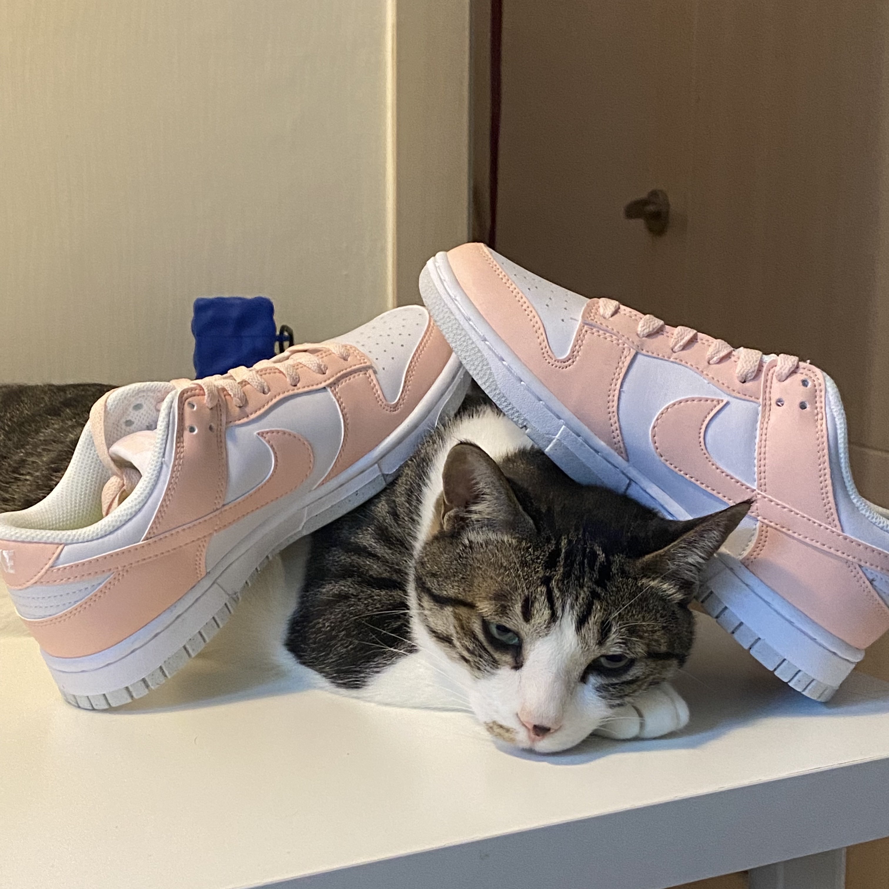 (W) Nike Dunk Low Next Nature Pale Coral 착용 스타일 - 3