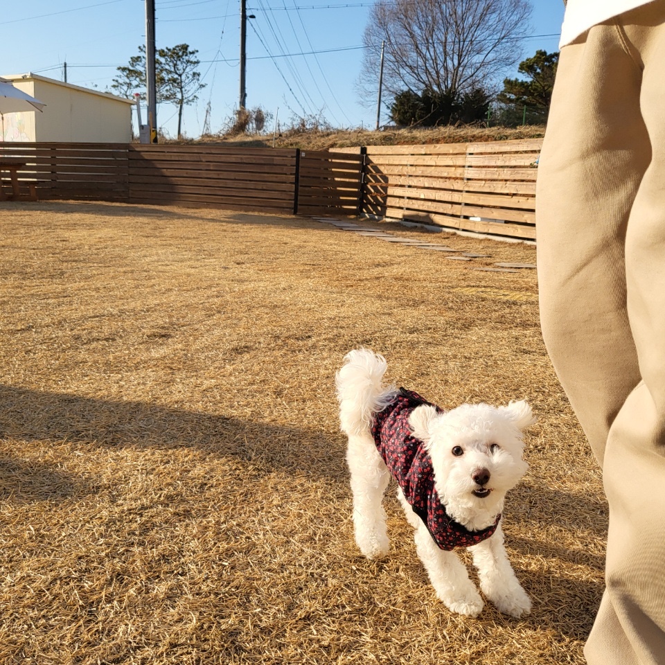 Nike NRG Solo Swoosh Fleece Pants Khaki - US/EU, Nike NRG Solo Swoosh Fleece Hoodie Khaki - US/EU 착용 스타일 - 4