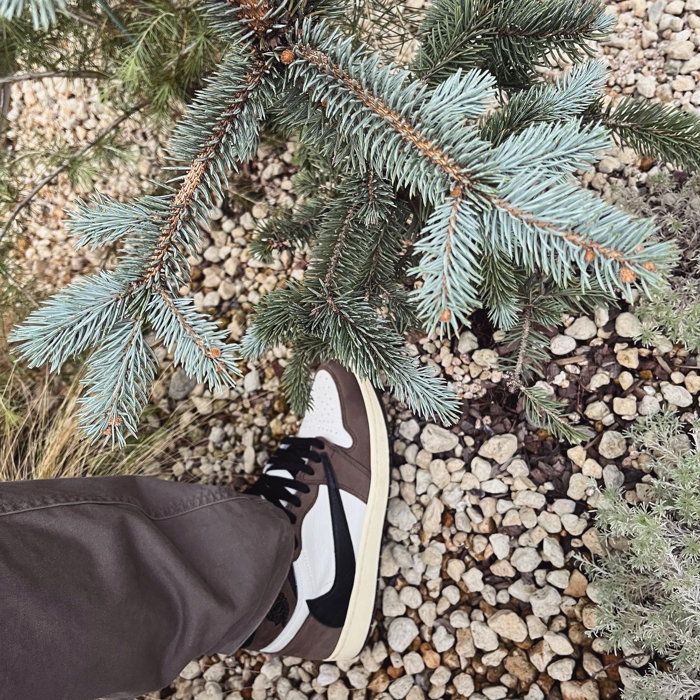 Jordan 1 x Travis Scott Retro High OG SP Mocha 착용 스타일 - 2
