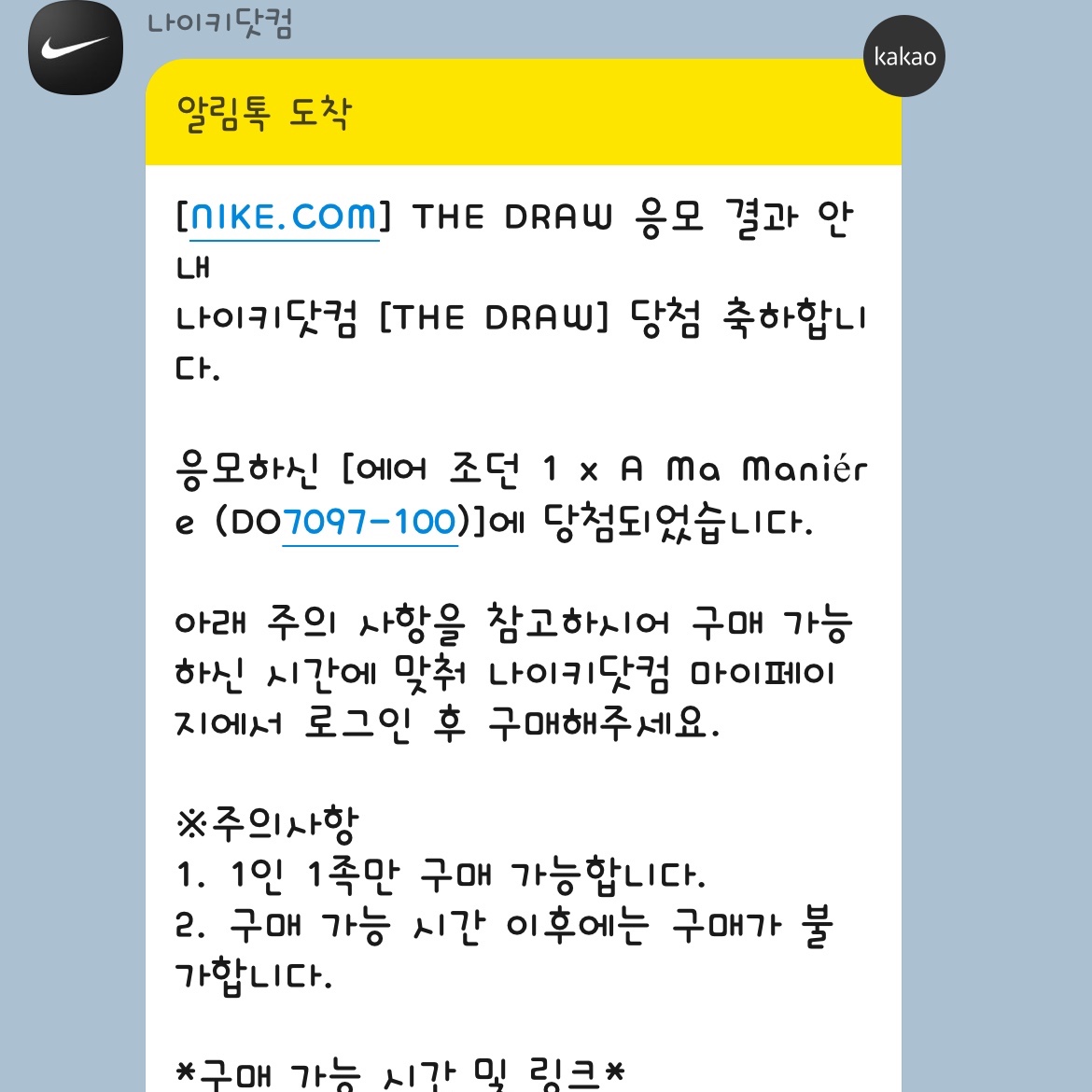 Jordan 1 x A Ma Maniere Retro High OG SP Sail and Burgundy 착용 스타일