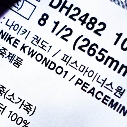 Nike x Peaceminusone Kwondo1 White 착용 스타일 - 3