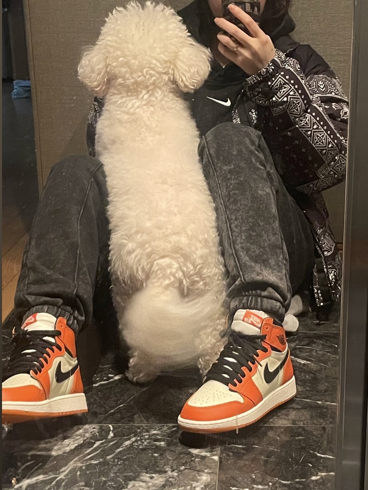 (GS) Jordan 1 Retro High OG Reverse Shattered Backboard, Jordan 1 Retro High OG Reverse Shattered Backboard 착용 스타일 - 1