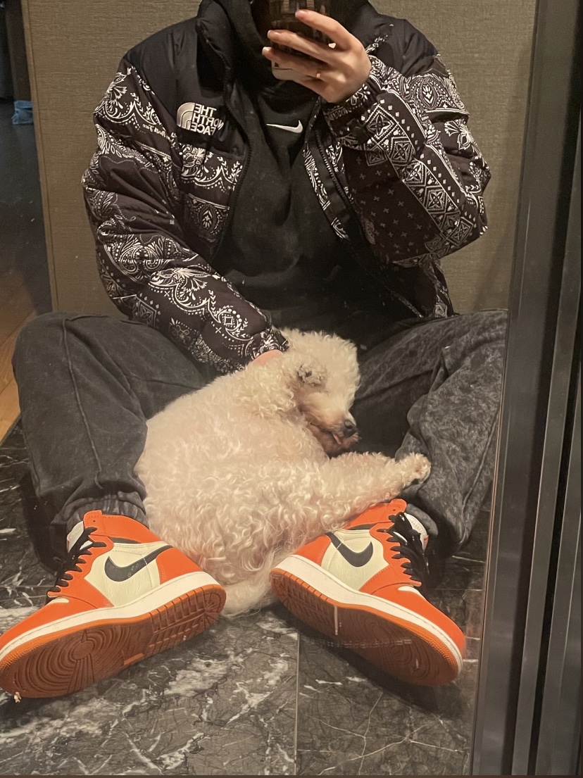 (GS) Jordan 1 Retro High OG Reverse Shattered Backboard, Jordan 1 Retro High OG Reverse Shattered Backboard 착용 스타일 - 2