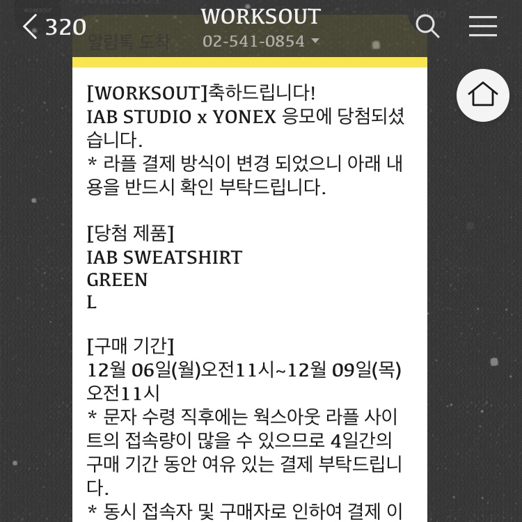 IAB Studio x Yonex Sweatshirt Green 착용 스타일