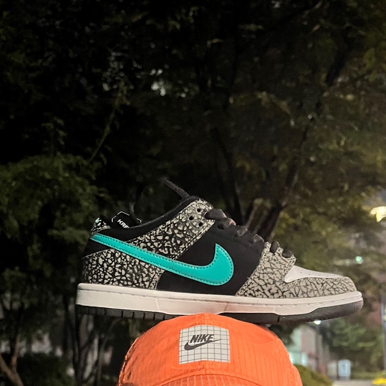 Nike SB Dunk Low Pro Clear Jade μ°©μ© μ€νμΌ