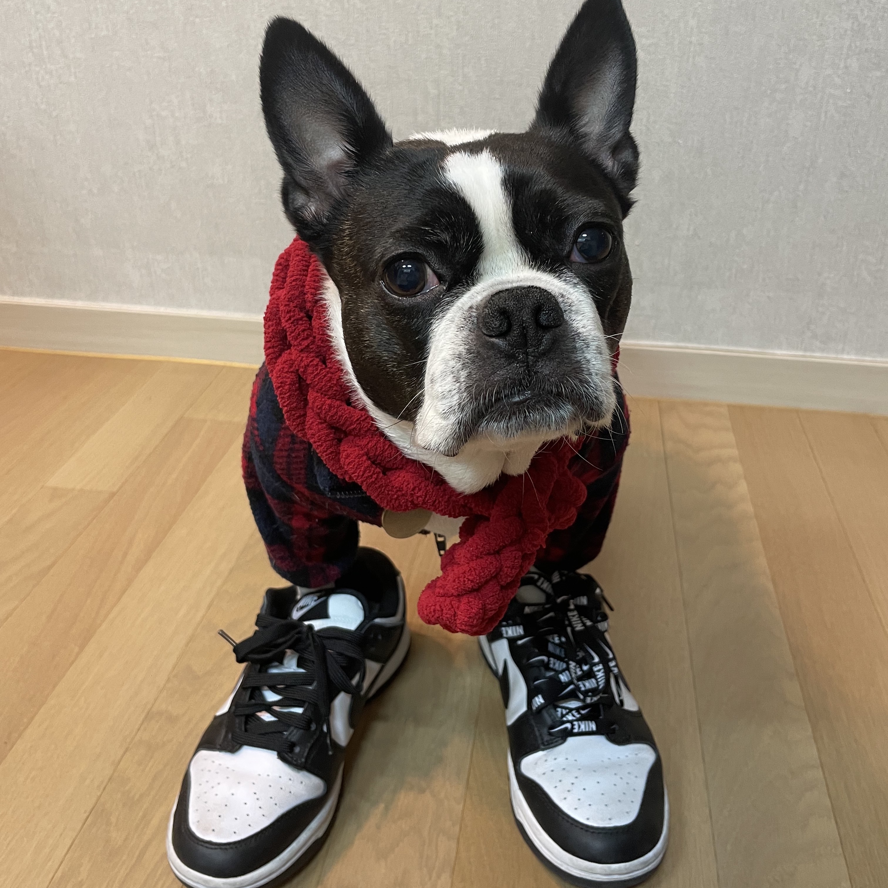 (W) Nike Dunk Low Black 착용 스타일
