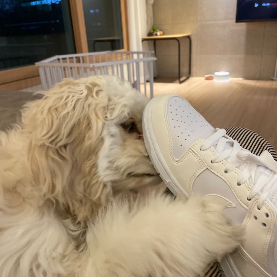 (W) Nike Dunk Low Next Nature Sail 착용 스타일