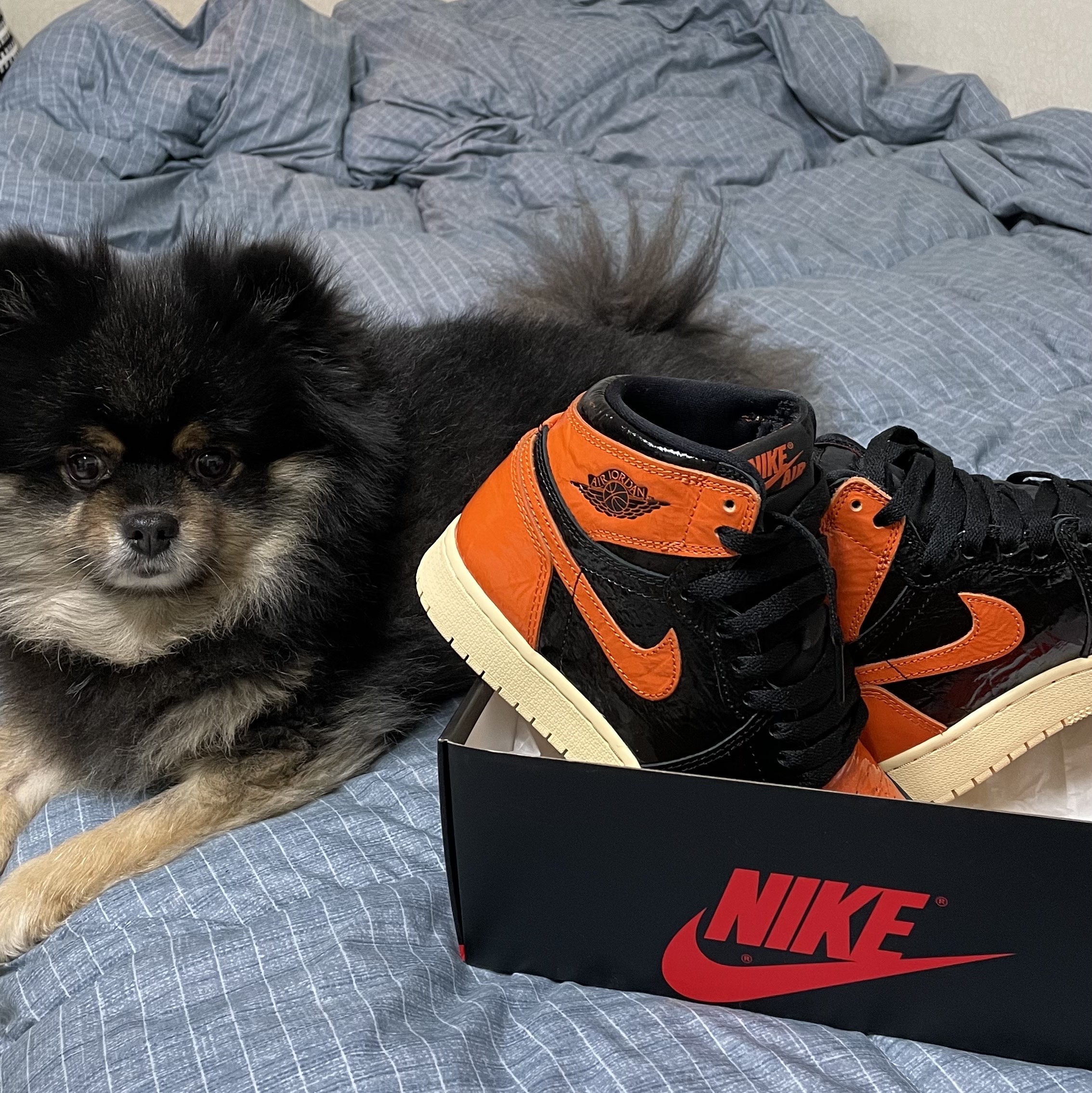 (GS) Jordan 1 Retro High OG Shattered Backboard 3.0 착용 스타일 - 1