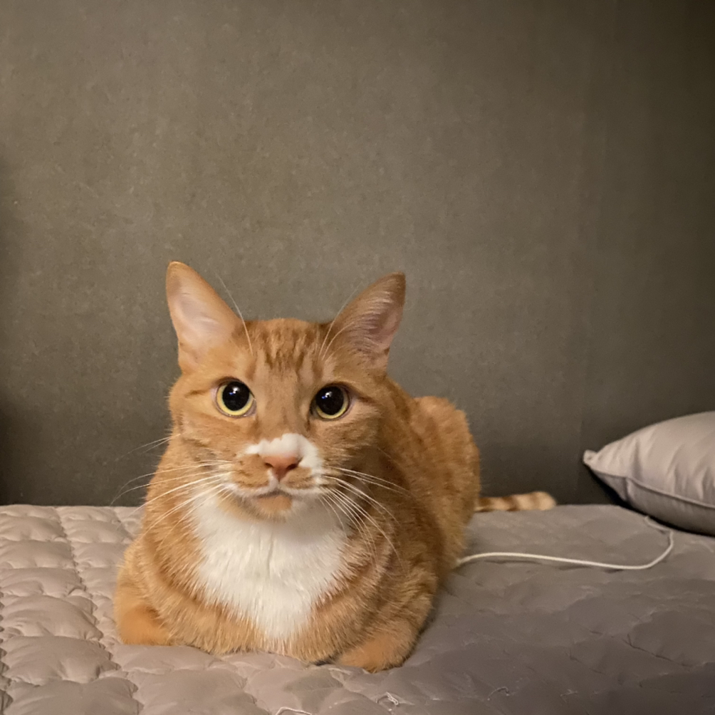 관심 유저 프로필 이미지