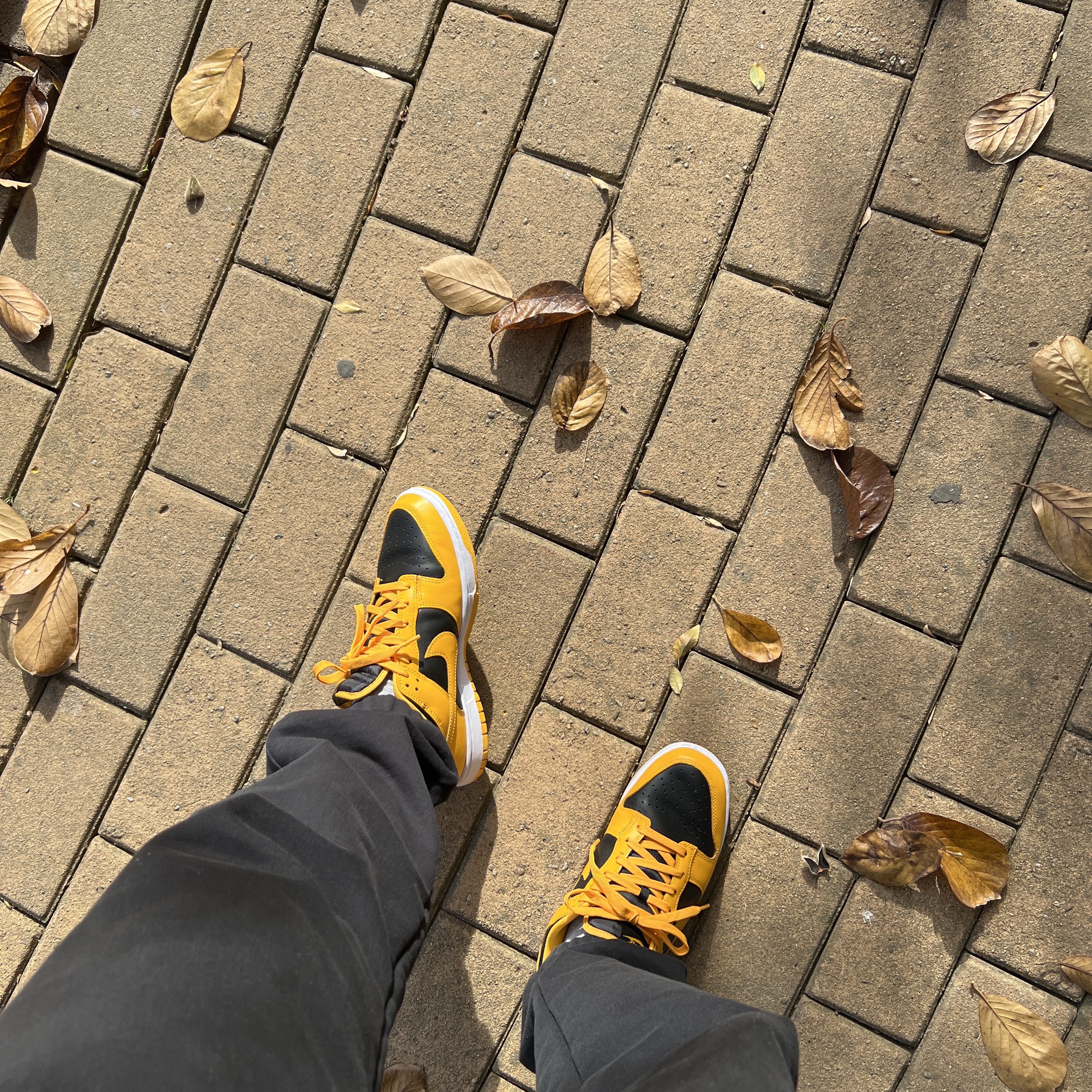 Nike Dunk Low Retro Championship Goldenrod 착용 스타일
