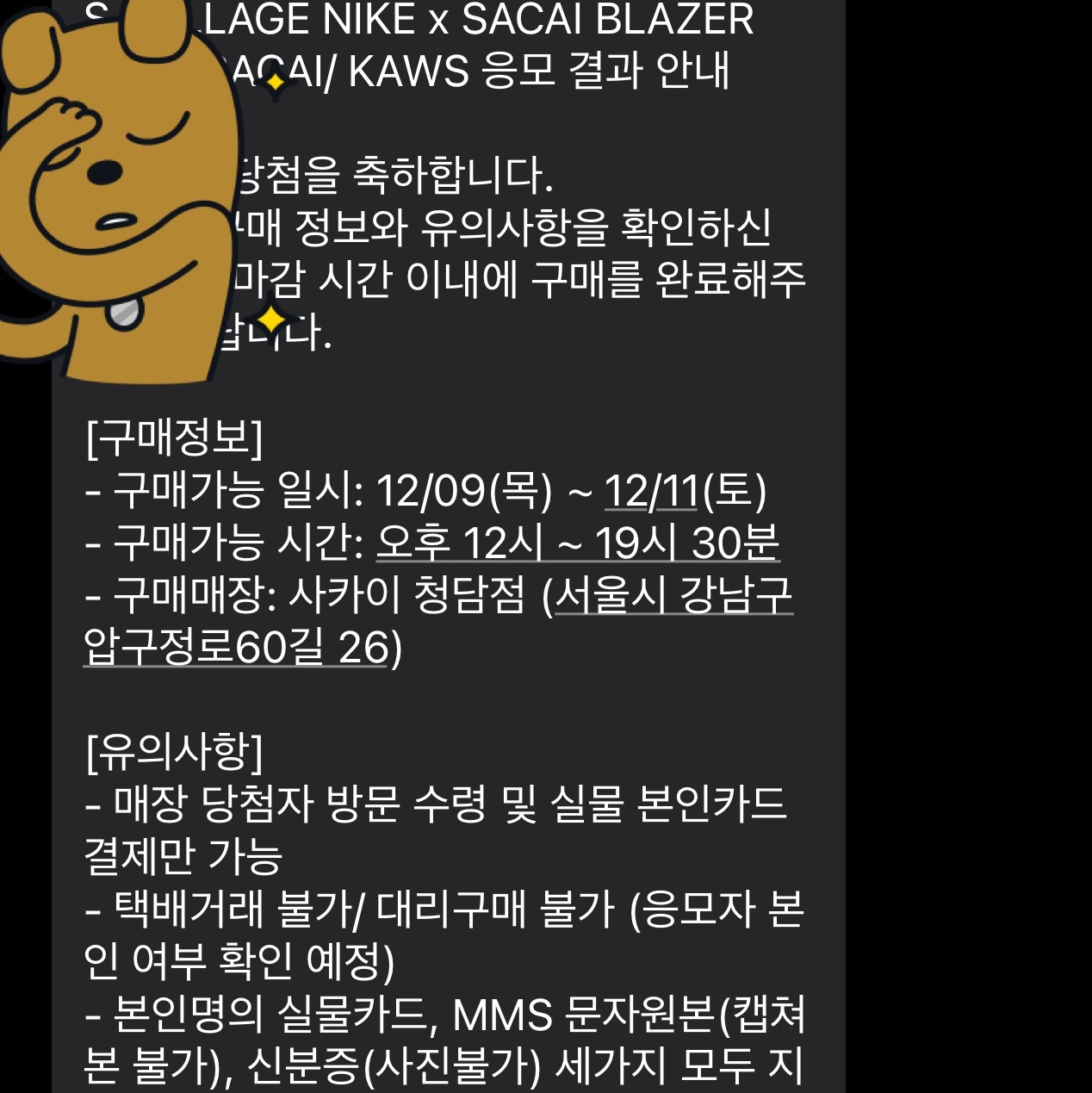 Nike x Sacai x Kaws Blazer Low Reed 착용 스타일