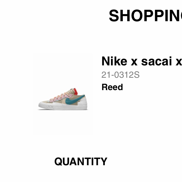 Nike x Sacai x Kaws Blazer Low Reed 착용 스타일