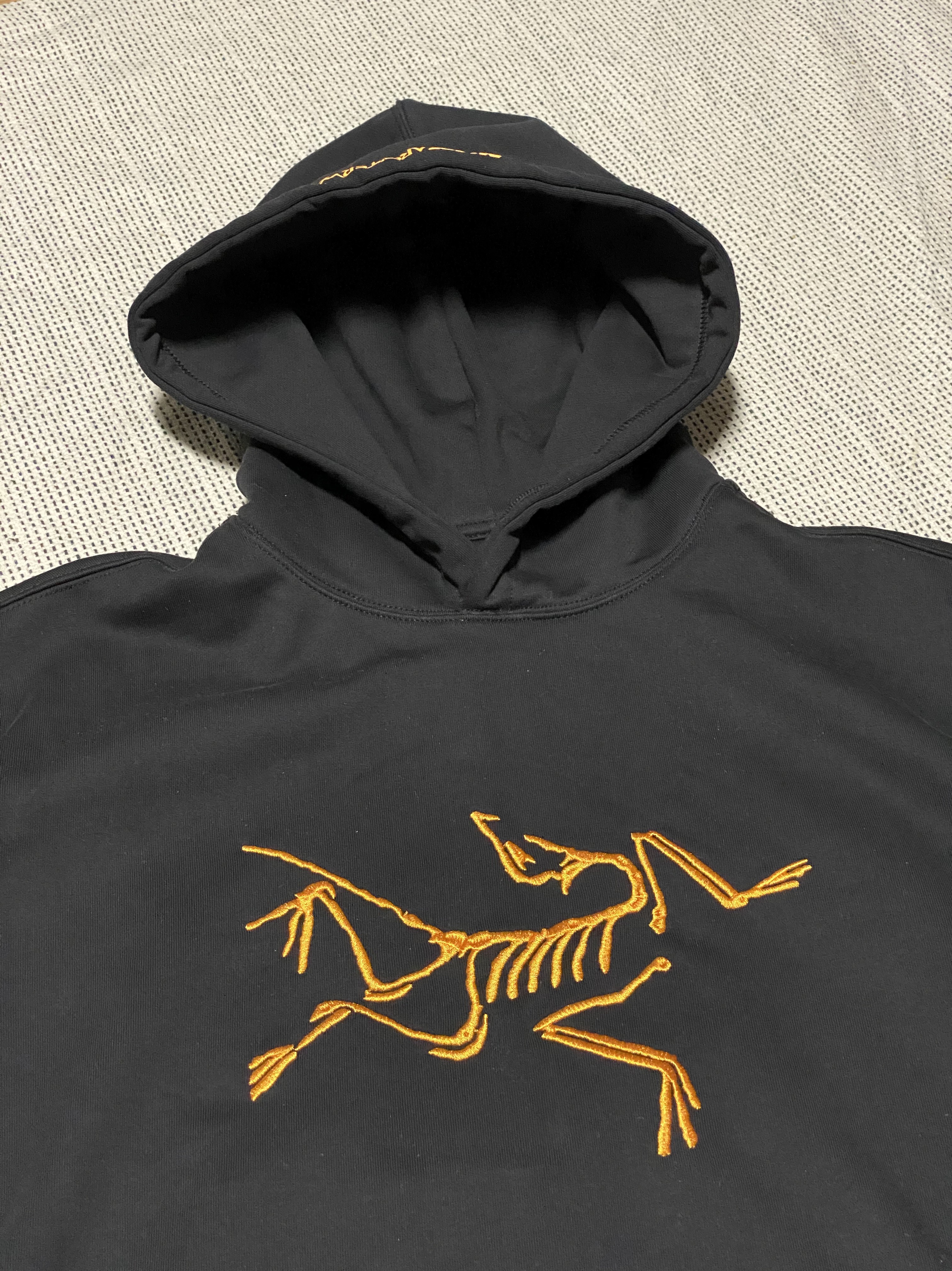 Palace x Arc'teryx Hood Black - 20FW 착용 스타일 - 1