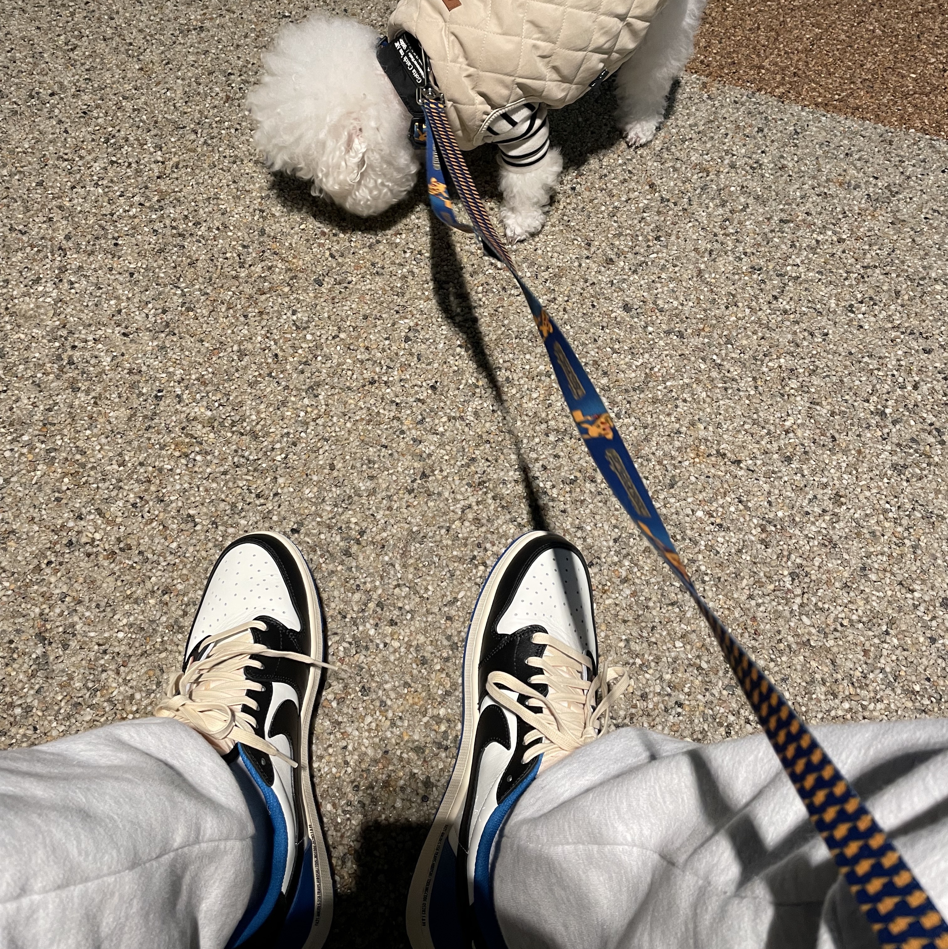 Jordan 1 x Travis Scott x Fragment Retro Low OG SP Military Blue 착용 스타일