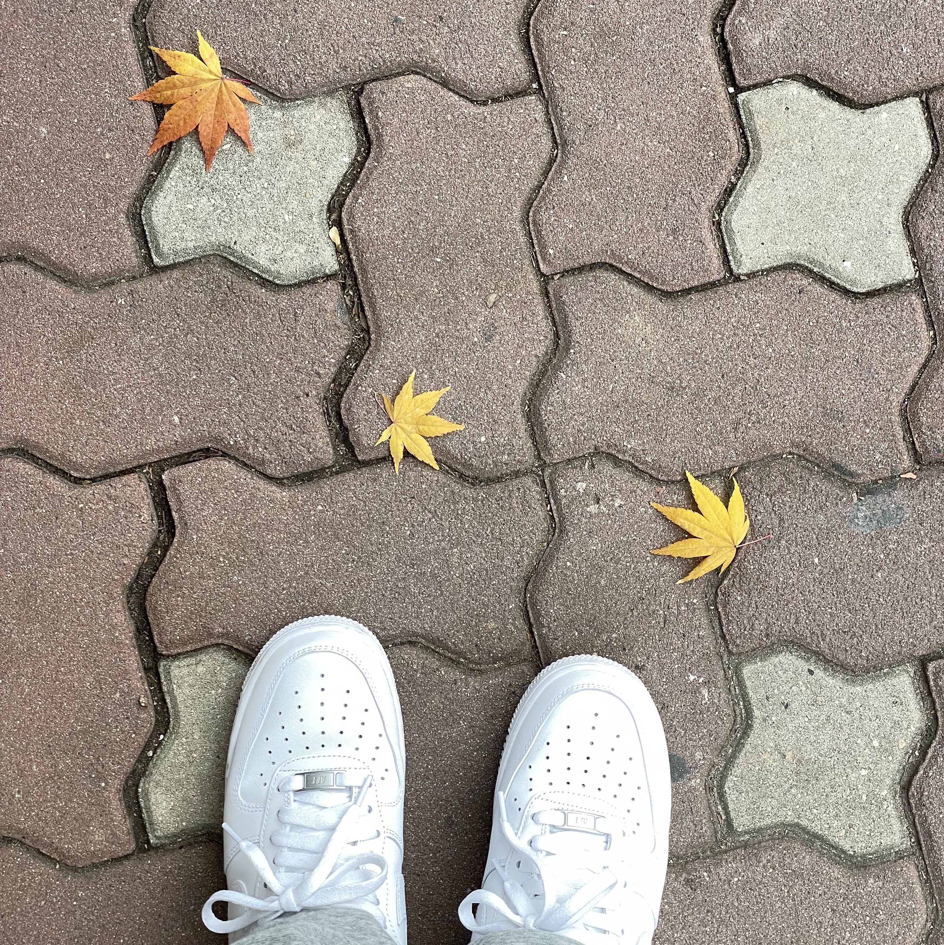 Nike Air Force 1 '07 Low White 착용 스타일