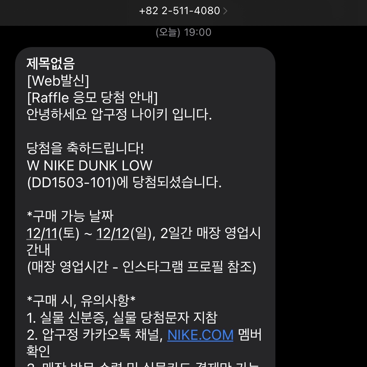 (W) Nike Dunk Low Black 착용 스타일 - 2