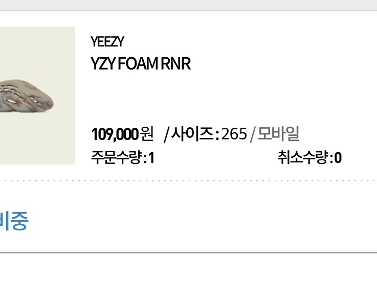 Adidas Yeezy Foam RNNR MX Sand Grey 착용 스타일