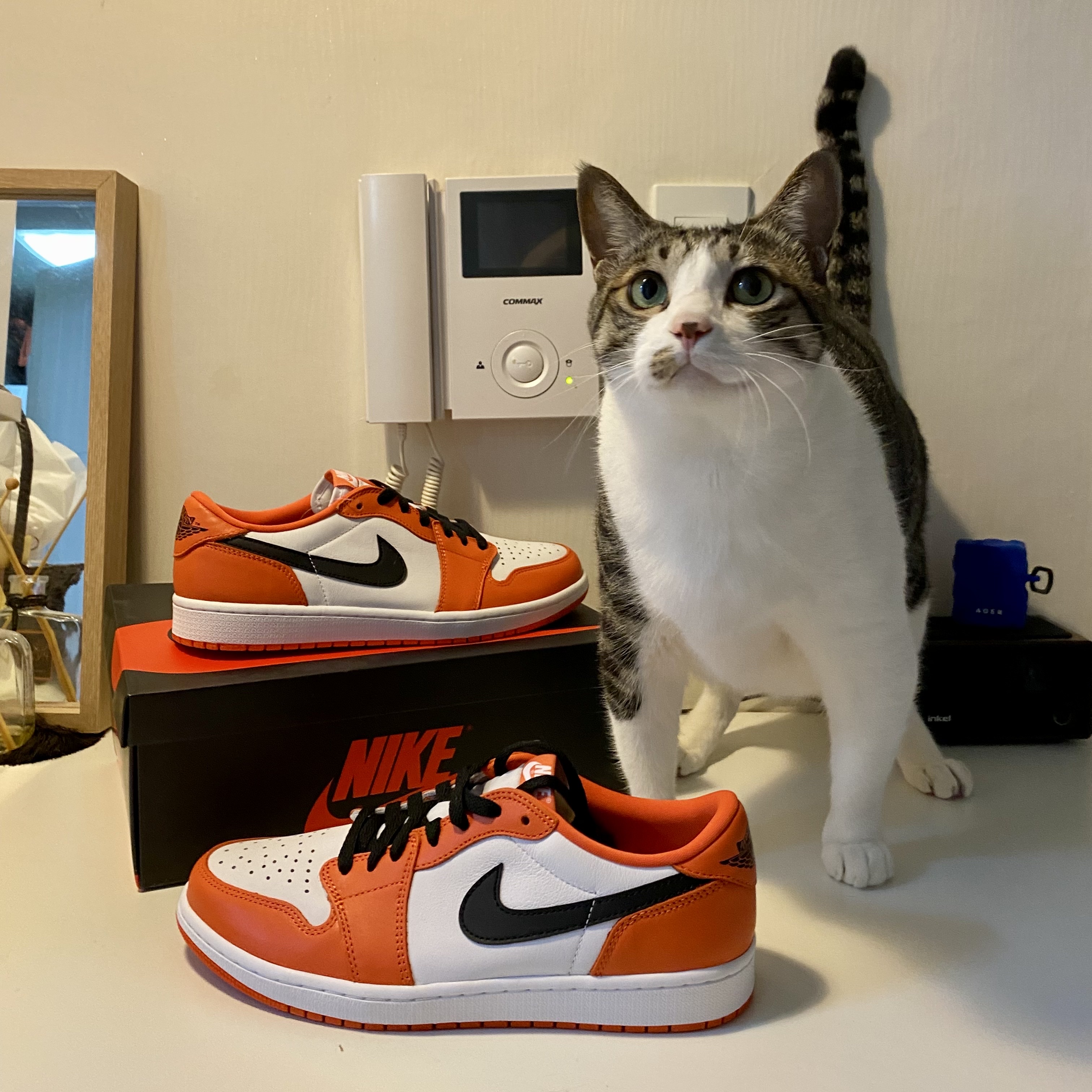 Jordan 1 Low OG Starfish 착용 스타일 - 2