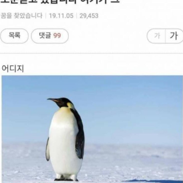o3ohani님의 스타일