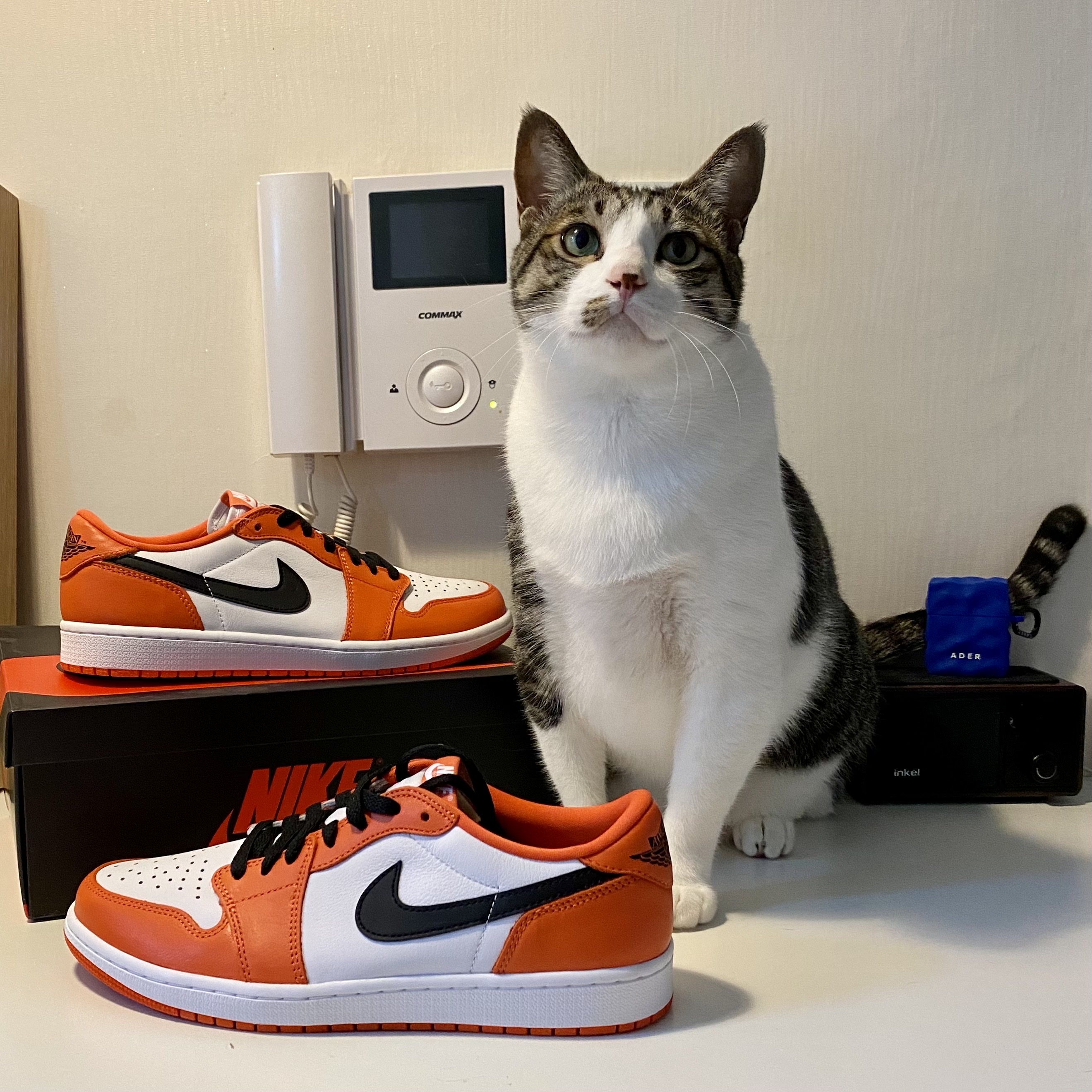 Jordan 1 Low OG Starfish 착용 스타일 - 3