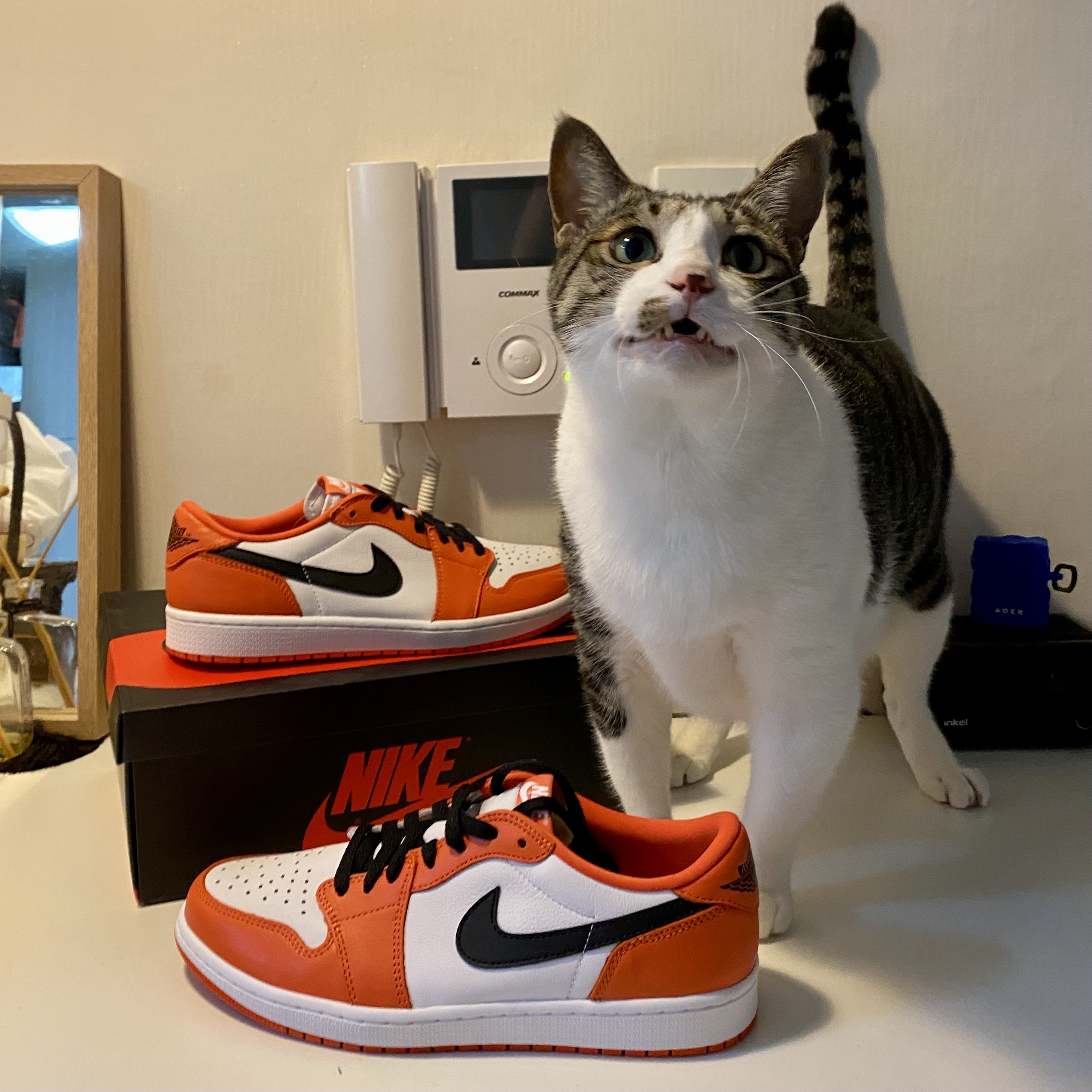 Jordan 1 Low OG Starfish 착용 스타일 - 1