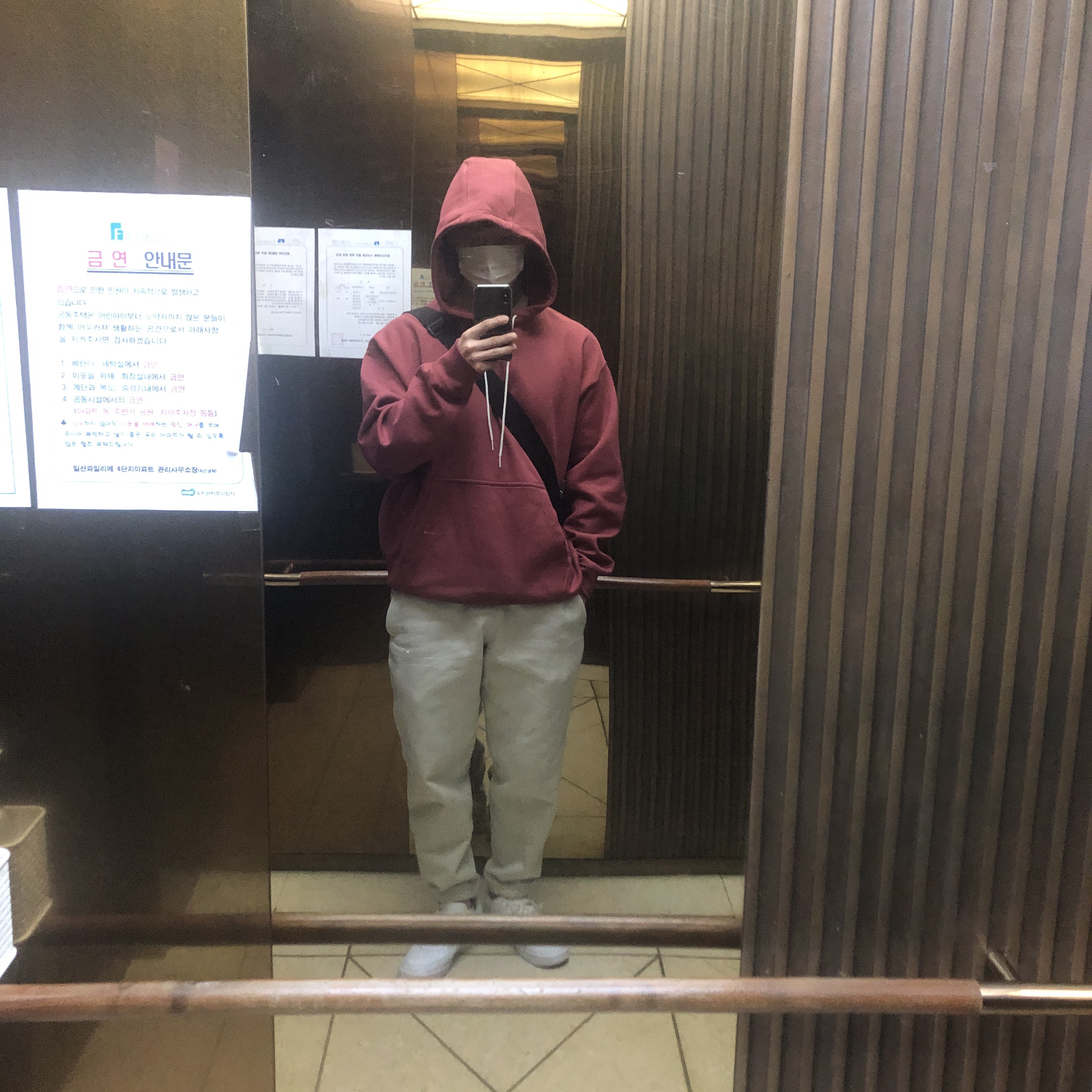 Nike NRG Solo Swoosh Fleece Hoodie Cedar - US/EU, Nike Air Force 1 '07 Low White 착용 스타일