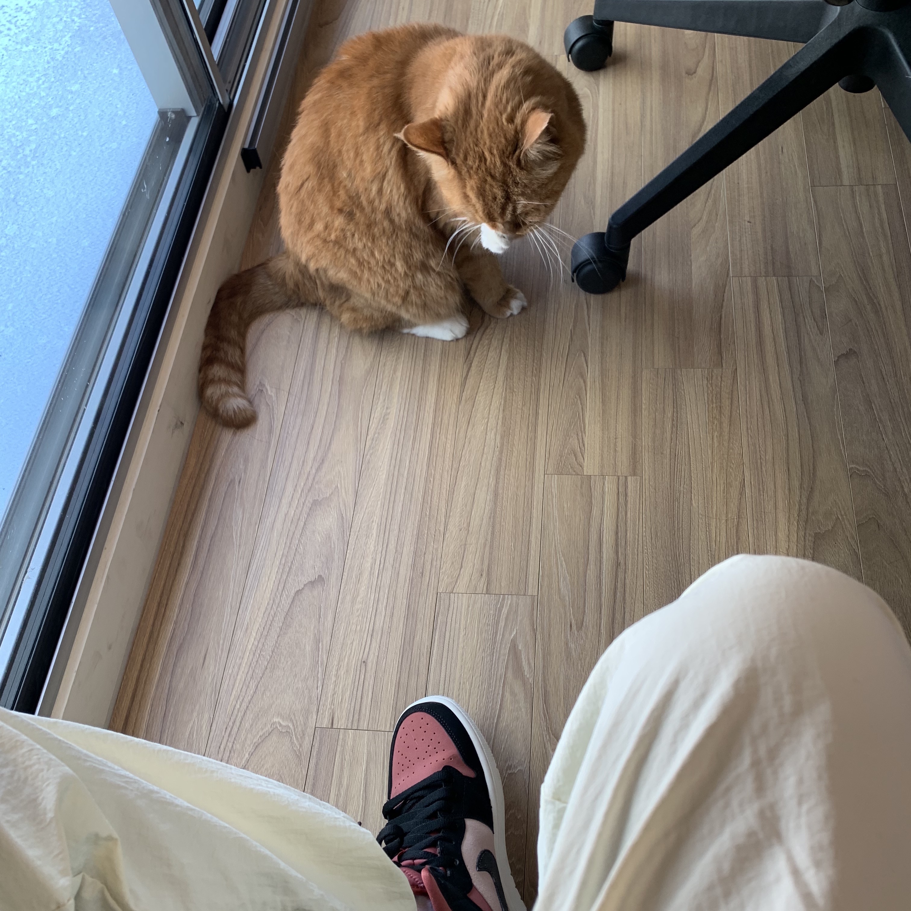 KREAM 스타일 - 2