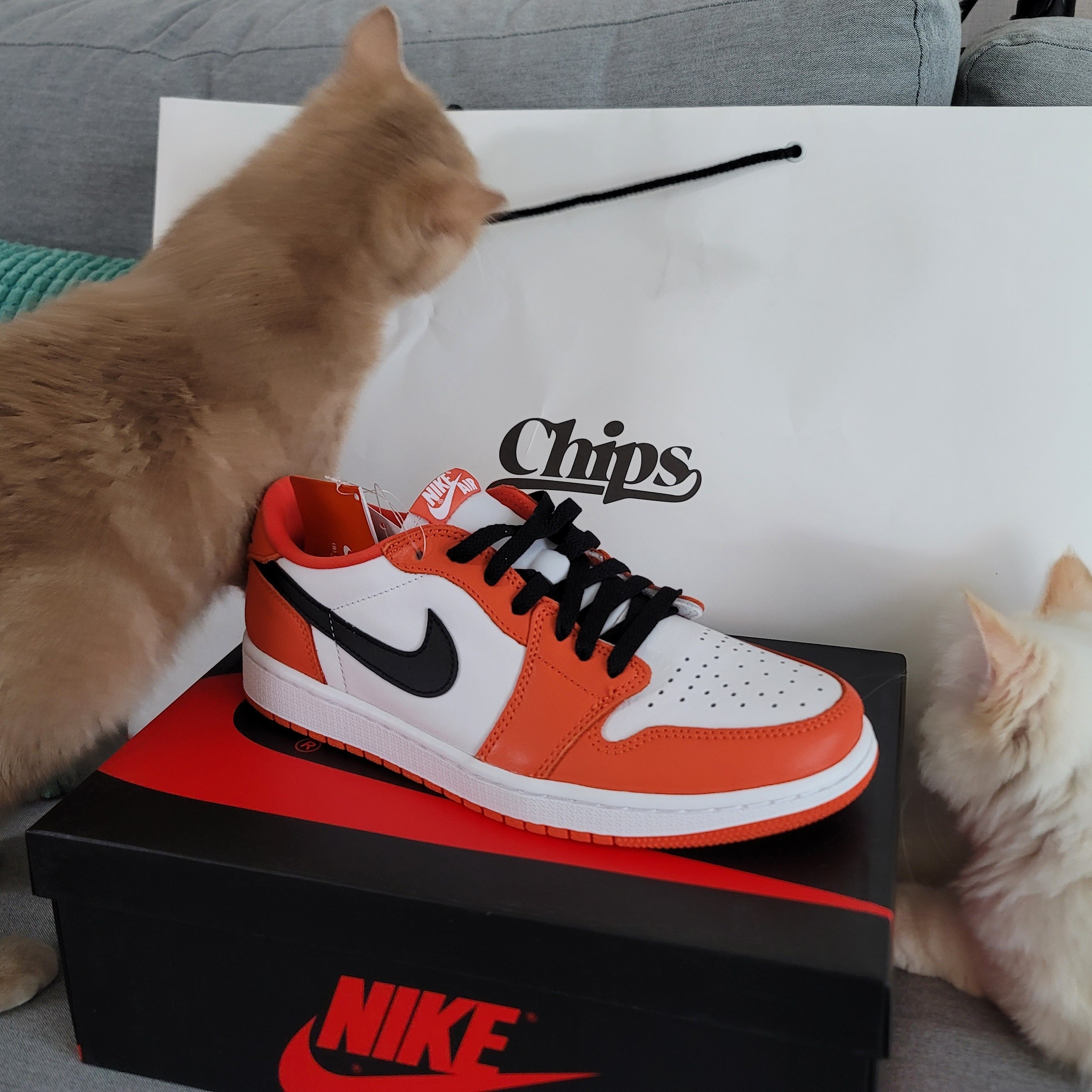 Jordan 1 Low OG Starfish 착용 스타일