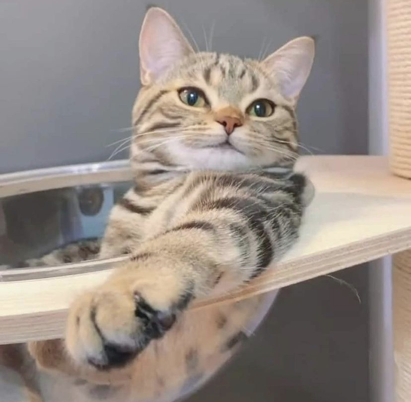 관심 유저 프로필 이미지