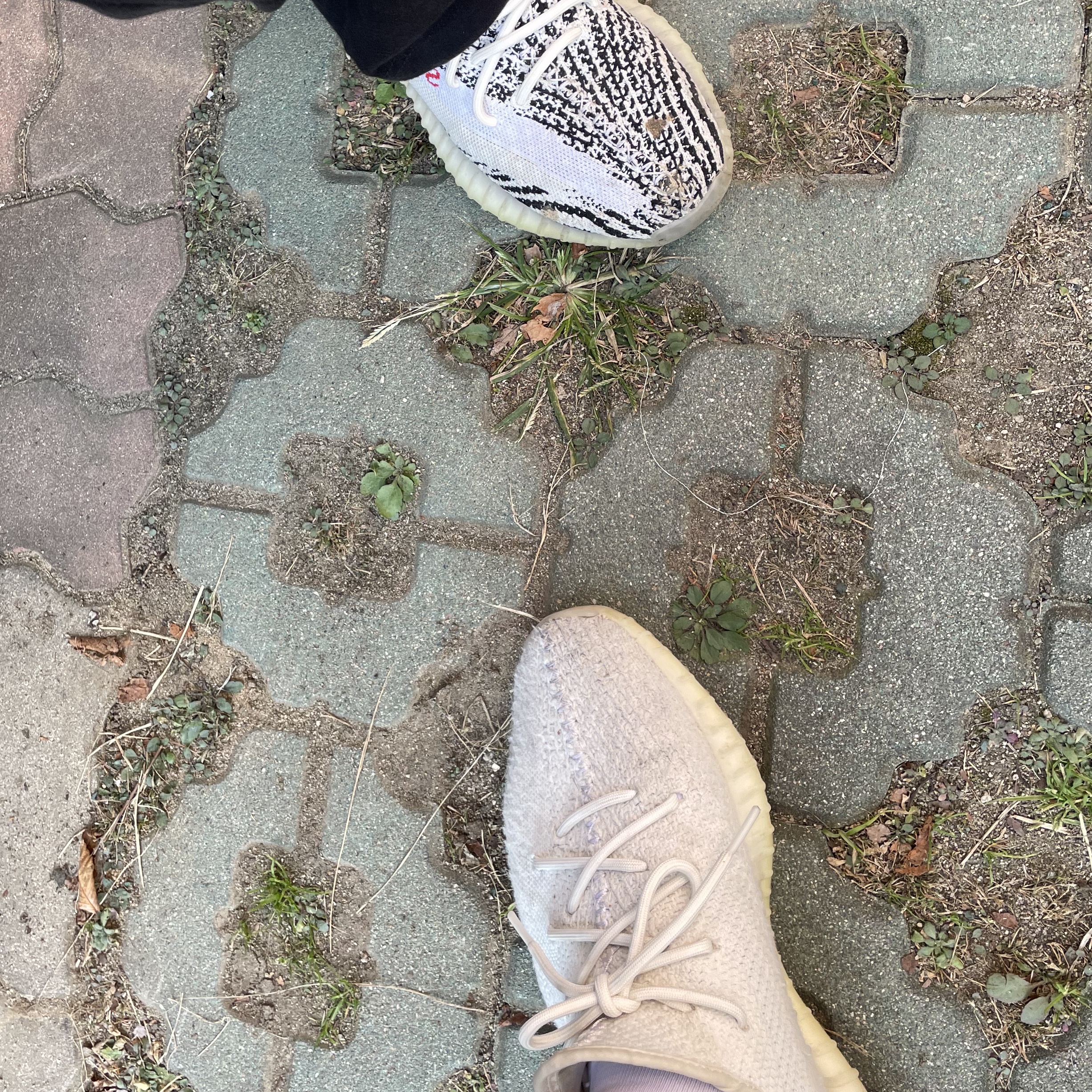 Adidas Yeezy Boost 350 V2 Cream/Triple White, Adidas Yeezy Boost 350 V2 Zebra 2017/2019/2020 착용 스타일 - 2